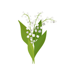Lily of the valley with green leaves. Spring bouquet. Nature theme. Detailed flat vector design