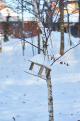 bird feeder on a tree in winter.