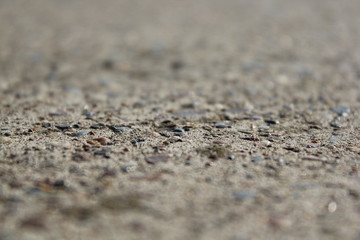 pebbles macro
