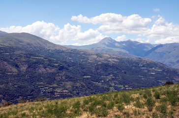 Fototapeta premium Alella mountains in Barcelona, Spain on a sunny day