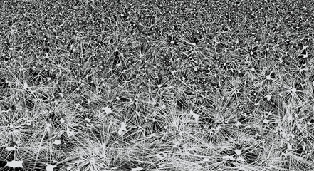 line connection background monochrome