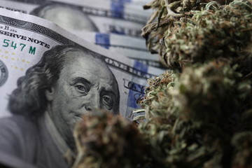 cannabis business concept. Medical Marijuana and Money