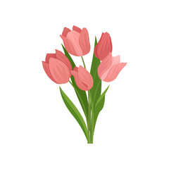 Cute pink tulips with green leaves. Beautiful spring bouquet. Nature theme. Flat vector illustration