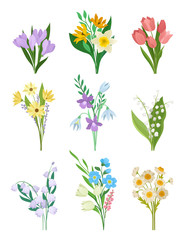 Flat vector set of spring bouquets. Beautiful flowers. Garden plants. Nature and botany theme