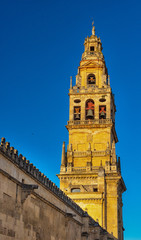 Fototapeta premium Bell tower of Mezquita Cathedral of Cordoba