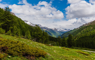 Obraz premium Summer Pass del San Gottardo, Switzerland.