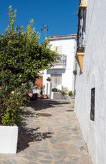 Street in a village of white houses in the Spanish province of Malaga called Casares on a sunny day.