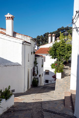 Street in a village of white houses in the Spanish province of Malaga called Casares on a sunny day.