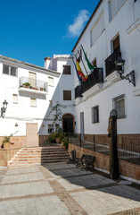 Fototapeta na wymiar Street in a village of white houses in the Spanish province of Malaga called Casares on a sunny day.