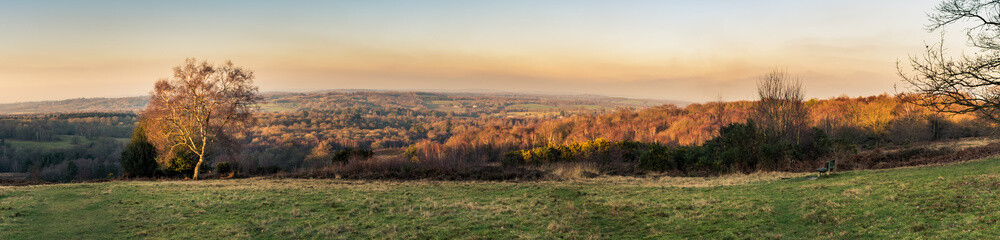 Panoramic view of sunset over the Ashdown Forest in Sussex, England, UK on an evening in winter,...