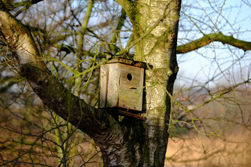 Nistkasten in der Sonne