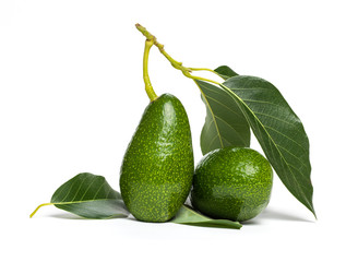 Fresh avocados isolated on white