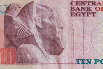 Macro shot of ten egyptian pounds bill