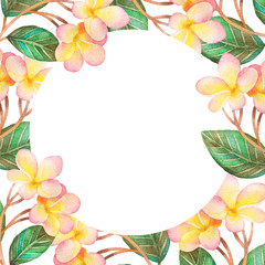 Illustration of watercolor frame with plumeria flowers and colorful leaves. Invitation. Hand drawn.Wedding invitation.Card. Spring, Summer.