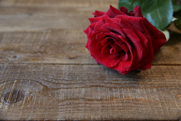 red rose for a gift on a wood with copy space for text