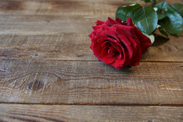 red rose for a gift on a wood with copy space for text