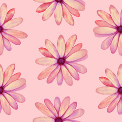 Illustration of watercolor hand drawn pattern with Spring pink flowers. Summer  wildflowers. Wedding invitation, postcard. Romantic floral background. Textile. Asian style. Vintage, Retro.