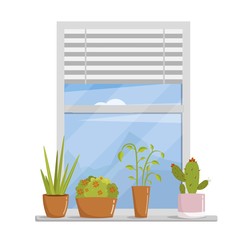 Window illustration with flowers in pots vector background