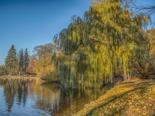 Royal Baths Park