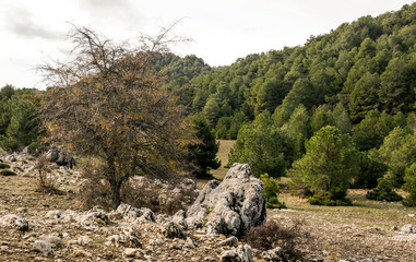 Mountains of the Sierra de Cazorla in the Spanish province of Jaen on a sunny day.