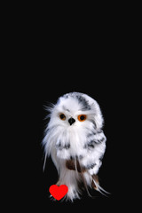 Toy owl on a black background, red paper heart, valentines day, close-up