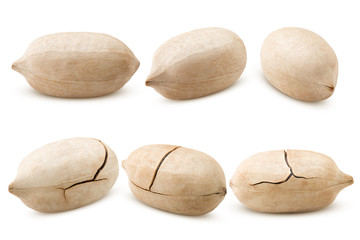 pecan, nut, isolated on white background, clipping path, full depth of field