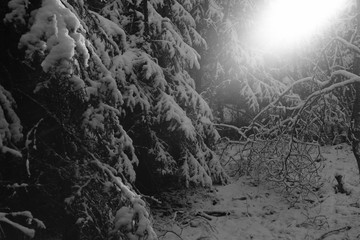 Winter Season specific Panorama