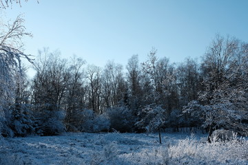 Winter Season specific Panorama