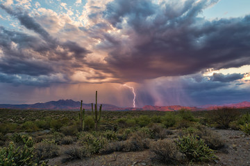 Fototapeta na wymiar Thunderstorm with lightning and dark, dramatic storm clouds