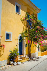 Assos village. Traditional pink colored greek house with bright blue door and windows. Fucsia plant flowers around entrance welcome gate. Kefalonia island, Greece