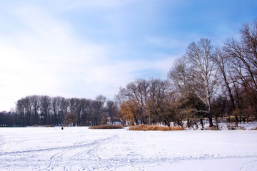 Fototapeta na wymiar winter landscape with trees and blue sky