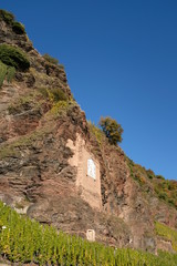 Goldener Herbst in Ürzig an der Mosel