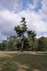 Zamek Moszna-park © amadeusz