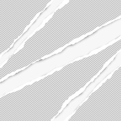 Ripped squared grey paper for text or message are on white background. Vector illustration