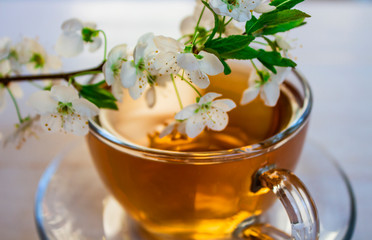 Tea. green. Herbal. Mint. Tea with apple flavor. in a glass cup with an apple flower and dried tea leaves sliced ​​lime. herbal tea and mint leaves on a slate plate in a restaurant