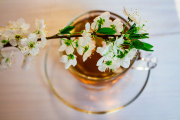Tea. green. Herbal. Mint. Tea with apple flavor. in a glass cup with an apple flower and dried tea leaves sliced ​​lime. herbal tea and mint leaves on a slate plate in a restaurant