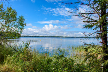 Fototapeta na wymiar the lake from the forest