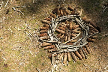 Tannenzapfen Kreis Muster 