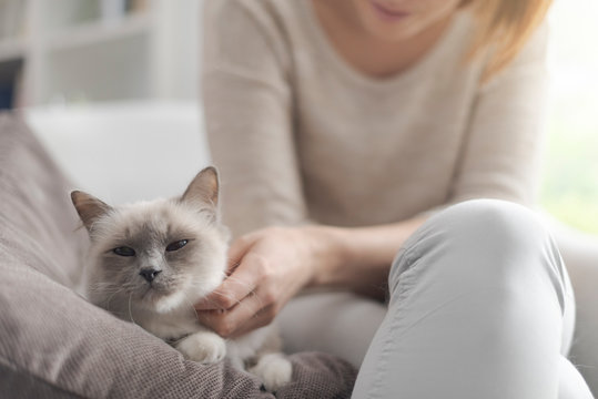 Woman petting her beautiful cat at home