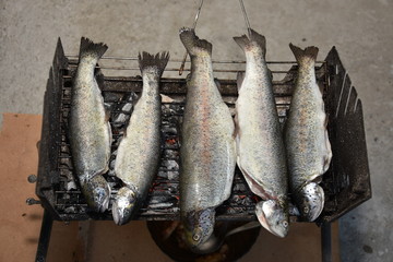 fresh Fried trout prepared for grill