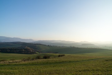 Obraz premium Misty morning on meadow with trees and views. Slovakia