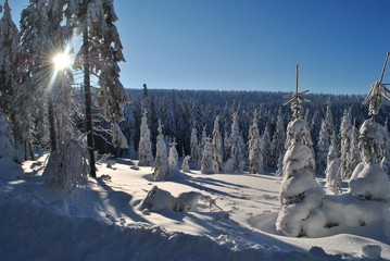 Zima w lesie © bnorbert3