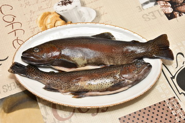 trout in plate