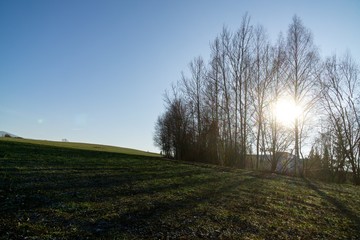 Fototapeta premium Misty morning on meadow with trees and views. Slovakia