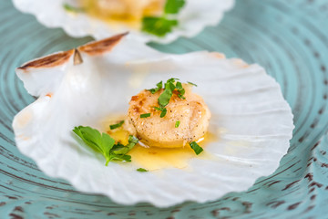 Seared scallops shell with butter, garlic and parsley.