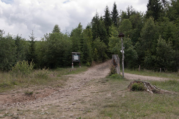 Na górskim szlaku © amadeusz