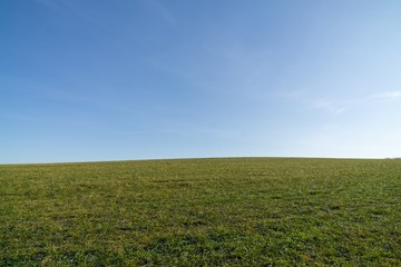 Sunny day on meadow with trees and views. Slovakia	