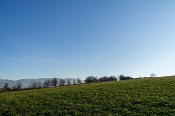 Sunny day on meadow with trees and views. Slovakia	