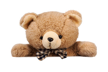 teddy bear isolated on white background