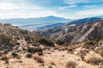 Landscape view of Joshua Tree National Park in California.
